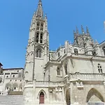 Catedral *